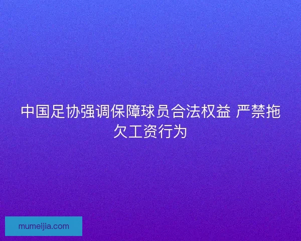 中国足协强调保障球员合法权益 严禁拖欠工资行为